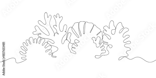 Beautiful coral in one continuous line simple linear style. Doodle vector illustration Editable stroke.