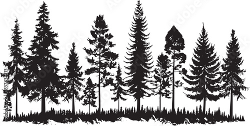 Pine trees silhouettes