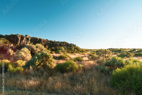 Wallpaper Mural High flat desert plains, dotted by sage brush and other scrub plants, extending into the distance under a clear blue sky, with long shadows from late afternoon.  Torontodigital.ca