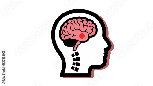 Illustration of Human Brain with Highlighted Red Area Representing Pain or Anomaly Within a Silhouette Head on a Black Background Indicating Neurological Issues
