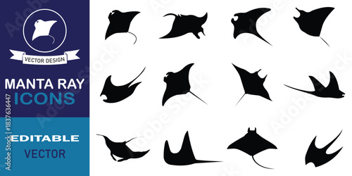 Manta ray silhouette icons isolated on white background. Sea life symbol collection. Eagle ray, stingray fish concept. Vector illustration.