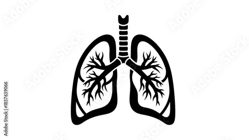 Vector illustration of lungs, respiratory system, internal organs, on transparent background