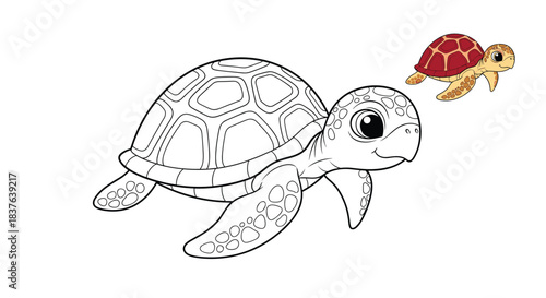 A cute baby sea turtle coloring page for children with a small full-color example to show how it can be painted.