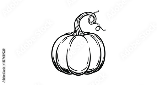 A simple black and white line art drawing of a pumpkin with a curly stem perfect for autumn or Halloween coloring pages.