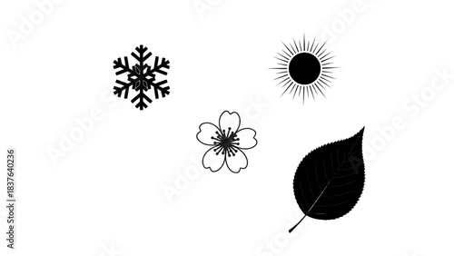 Vector illustration of seasonal elements, snowflake, sun, flower and leaf on transparent background