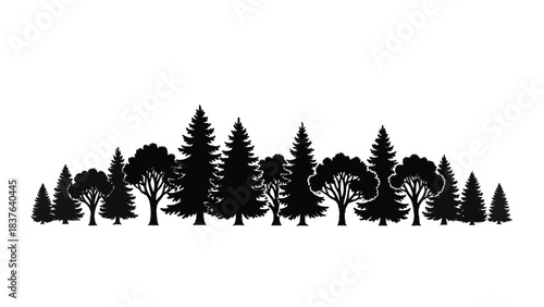 Vector illustration of a dense forest of coniferous and deciduous trees, on transparent background