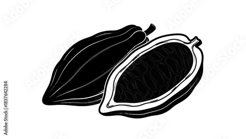 Vector illustration of cacao pod illustration, one whole and one halved showing beans, isolated on transparent background