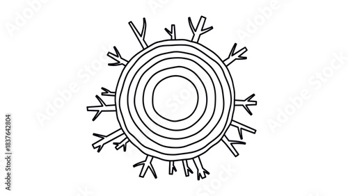 Top-Down Vector Tree Ring with Canopy and Shrubs