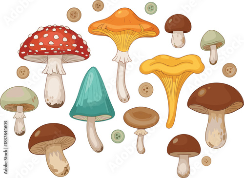 Cute mushroom illustrations collection with wild forest fungi varieties and hand drawn style nature vector design