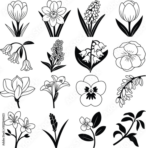 Spring Flowers and Botanical Line Art Icons