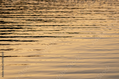 Close up of the golden ripples on the surface of water at sunset