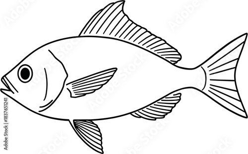 A black and white outline drawing of a fish with fins and scales, viewed from the side, depicting a common aquatic creature.