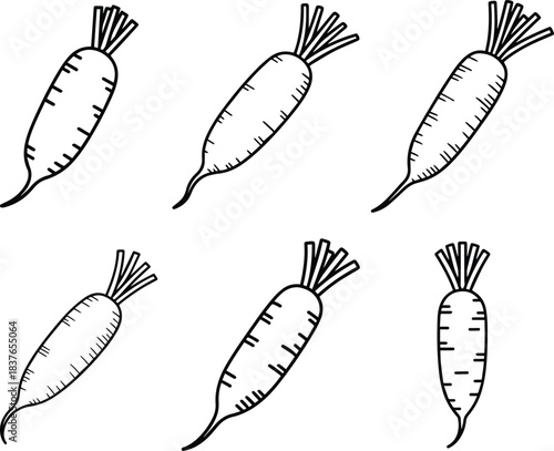 Set of Daikon radish outline icon vector line art. Simple root vegetable food sketch symbol.