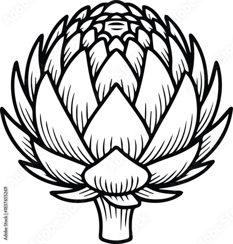Artichoke Outline Vector Illustration in Line Art