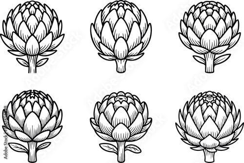 Set of Artichoke Outline Vector Illustration in Line Art
