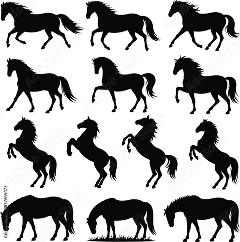 Horse Running and Rearing Silhouette Set