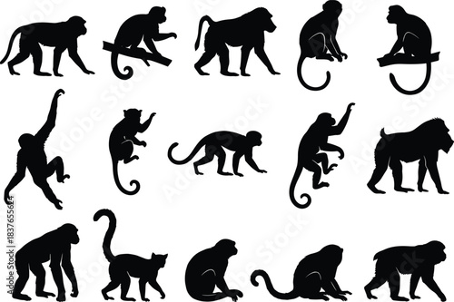 Vector Collection of Monkey and Baboon Silhouettes Set of Fifteen Black Primate Figures in Various Sitting, Climbing, and Walking Poses for Wildlife Design.