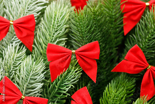 Red ribbons with pine branches, Christmas tree concept.