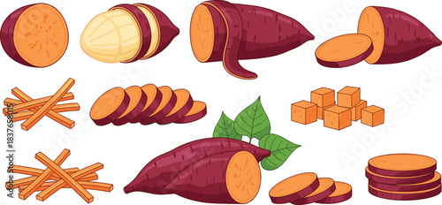 Sweet potato icon set, whole sliced cubed peeled vegetable collection, food graphics, cad drawing flat vector illustration