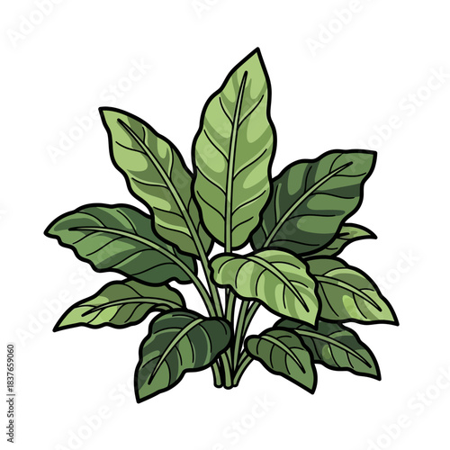 Stylized vector illustration of a lush green leafy plant.
