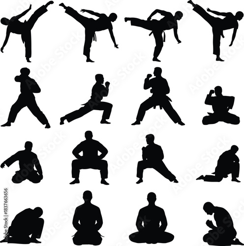 Martial Arts and Karate Fighter Silhouettes