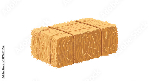 Detailed illustration of a rectangular bale of dry yellow hay or straw tied securely with twine for farming or animal bedding.