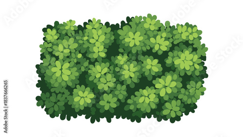 Top Down View Of A Lush Green Bush With Detailed Leaves And Shadows Against A Transparent Background Minimalist Nature Element Isolated Illustration