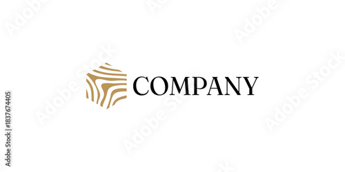 Premium Hexagon Gold Wood Grain Company Logo Design Template Vector
