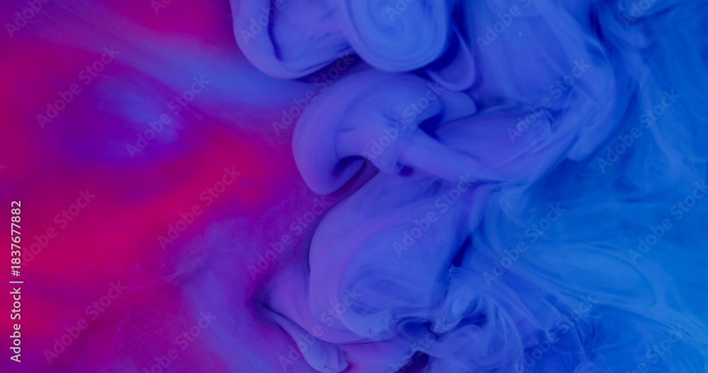 Fototapeta premium Cloud blend. Ink fluid. Defocused blue pink purple color fume wave swirling texture floating on abstract creative vivid background.