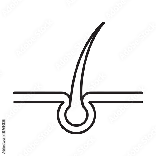Simple line art icon of a human hair follicle and strand