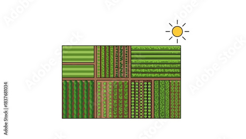 Top-down view of organized garden plots, displaying rows of plants and crops under a sunny sky in summer