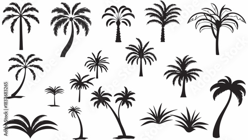 Collection of various black and white palm tree silhouettes perfect for tropical design projects