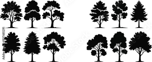 Collection of various tree silhouettes on transparent background