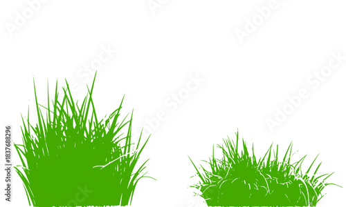 Vector Green Grass Tuft Silhouette on White Background, Isolated Design Element for Lawn, Nature, and Spring Season Concepts