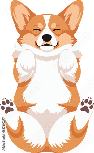Cute cartoon corgi dog sitting on its back with paws up, eyes closed and smiling happily.