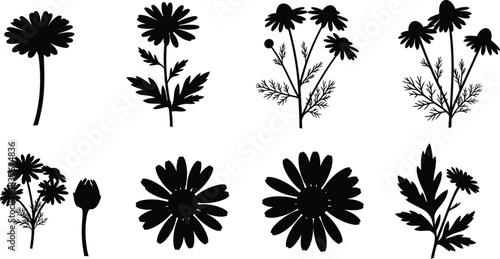 Black daisy floral arrangement with leaves on transparent background silhouette