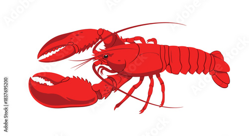 Bright red boiled lobster with large claws and long antennae shown in a simple flat vector illustration style for seafood restaurant menus.