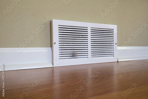 Dirty register wall vent with pet hair clogging the duct opening in a home
