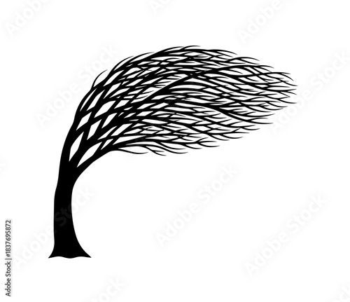 A striking black silhouette captures a windswept tree, its trunk bowed and tangled branches streaming horizontally to the right as if caught in a perpetual gale