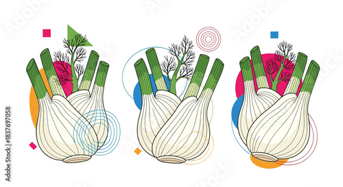 Set of three fresh fennel bulb illustrations with green fronds is combined with modern abstract geometric shapes for a creative look.