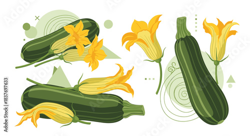 Set of fresh green zucchini or courgette vegetables with yellow flowers and abstract geometric shapes in a modern illustration style.