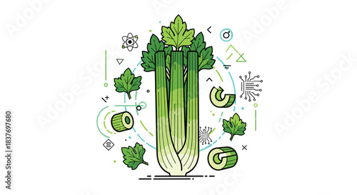 Modern concept illustration of fresh green celery with stalks leaves and slices combined with abstract technology and science icons.