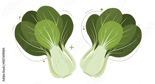 Two heads of fresh bok choy are shown in a modern and stylish flat illustration with simple decorative line art elements.