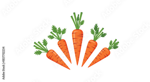 Five fresh orange carrots with green tops arranged in a neat fan shape in a simple flat vector style on a white background.