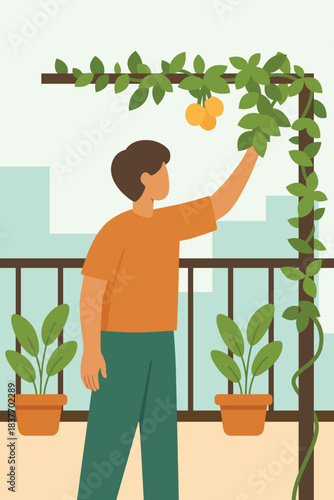 Flat vector illustration of a person harvesting fruit in an urban balcony garden