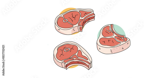 Set of three raw meat chops with bones in a simple hand-drawn outline style with flat colors on a clean white background.