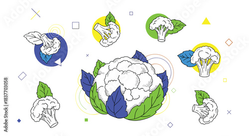 Modern artistic composition of cauliflower heads and florets in a line art style with colorful abstract shapes and geometric elements.