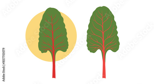 Two simple illustrations of fresh green chard leaves with red stems one with a yellow circular background element on a white backdrop.