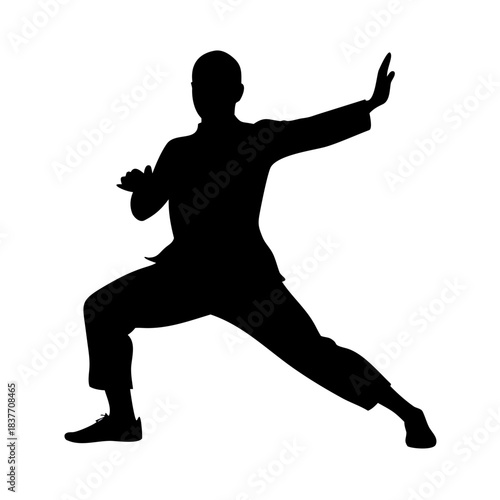 Tai Chi Pose Silhouette Vector Illustration On White Background