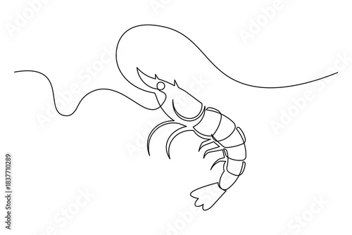 Cooking ingredient shrimp continuous line drawing isolated food element